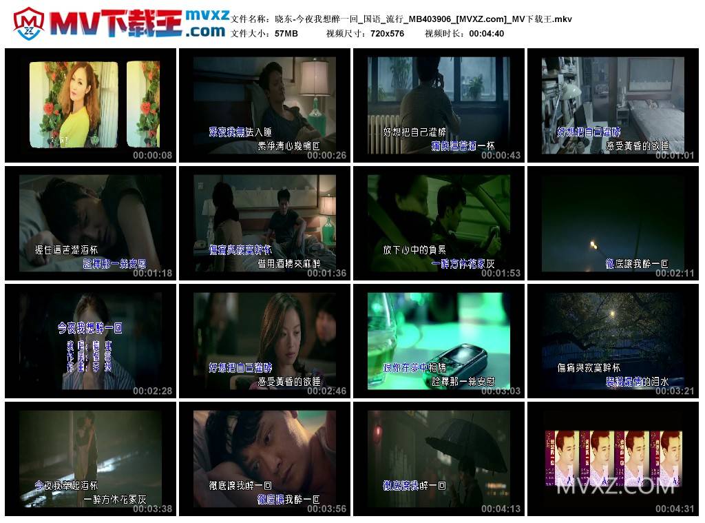 晓东-今夜我想醉一回_国语_流行_MB403906